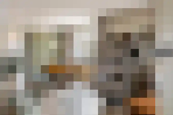 Poppelenburgerstraat 48 Geldermalsen thumbnail 4