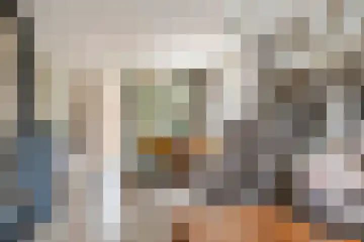 Poppelenburgerstraat 48 Geldermalsen thumbnail 5