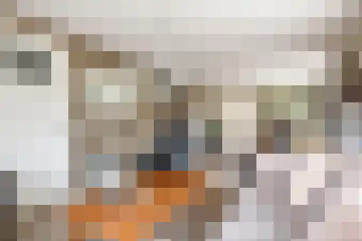 Poppelenburgerstraat 48 Geldermalsen thumbnail 6