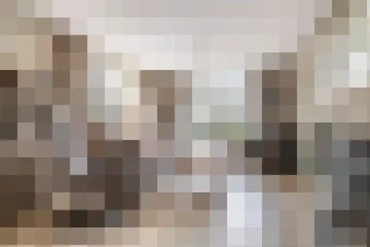 Poppelenburgerstraat 48 Geldermalsen thumbnail 7