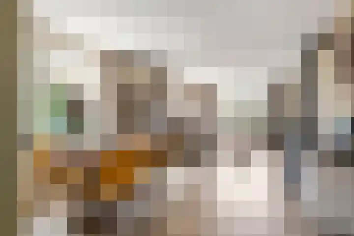 Poppelenburgerstraat 48 Geldermalsen thumbnail 8