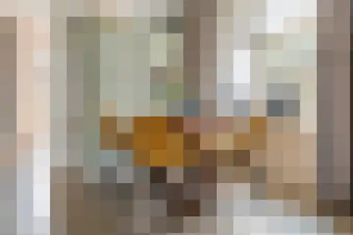 Poppelenburgerstraat 48 Geldermalsen thumbnail 9