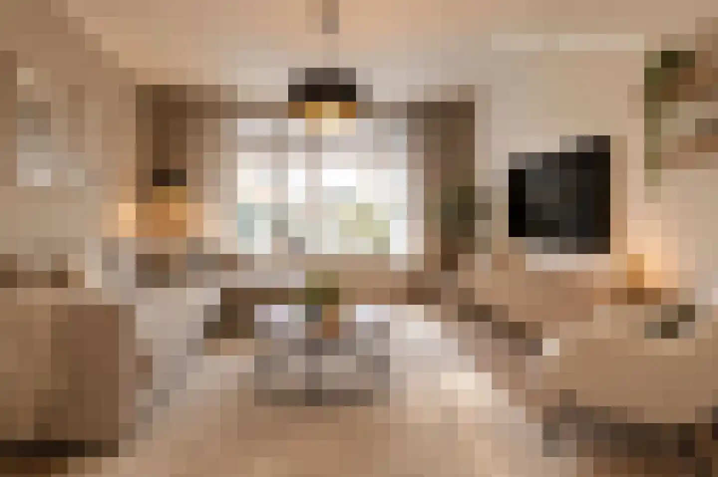 Poppenroedestraat 6 Middelburg thumbnail 10