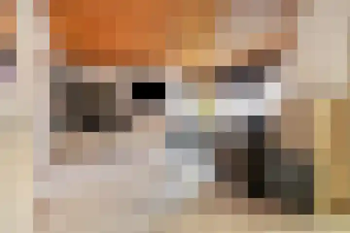Poppestraat 10 St. Willebrord thumbnail 11