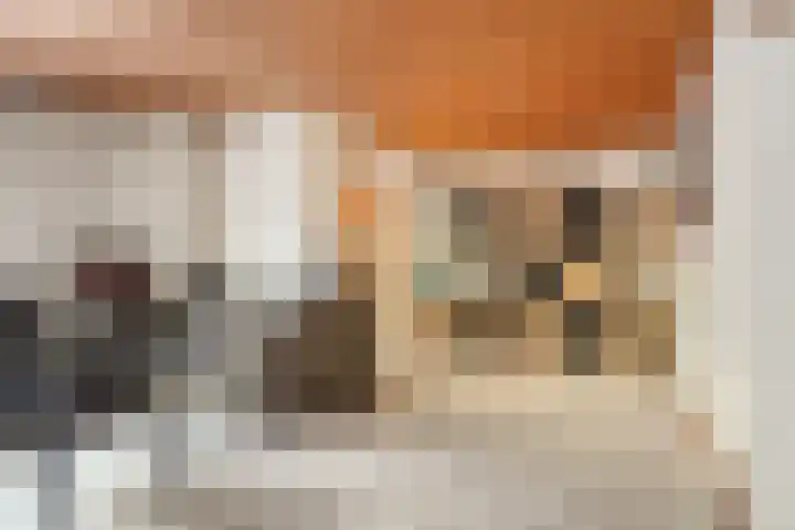 Poppestraat 10 St. Willebrord thumbnail 12