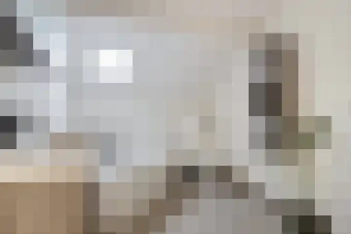 Poppestraat 10 St. Willebrord thumbnail 21