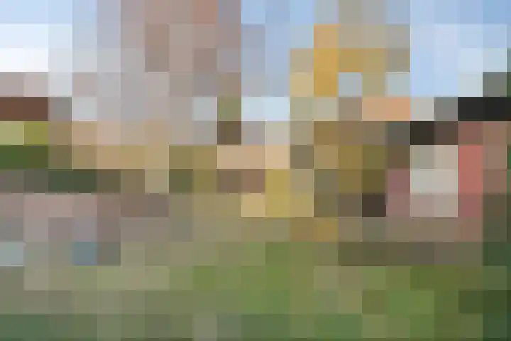 Poppestraat 10 St. Willebrord thumbnail 29