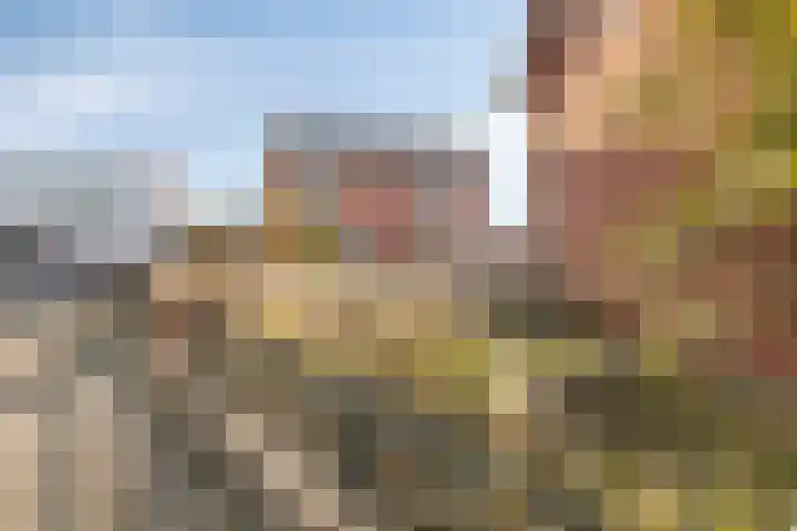 Poppestraat 10 St. Willebrord thumbnail 32