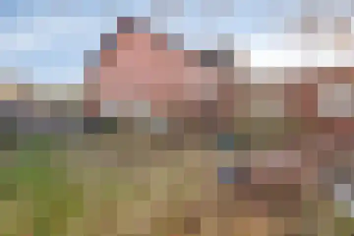 Poppestraat 10 St. Willebrord thumbnail 5