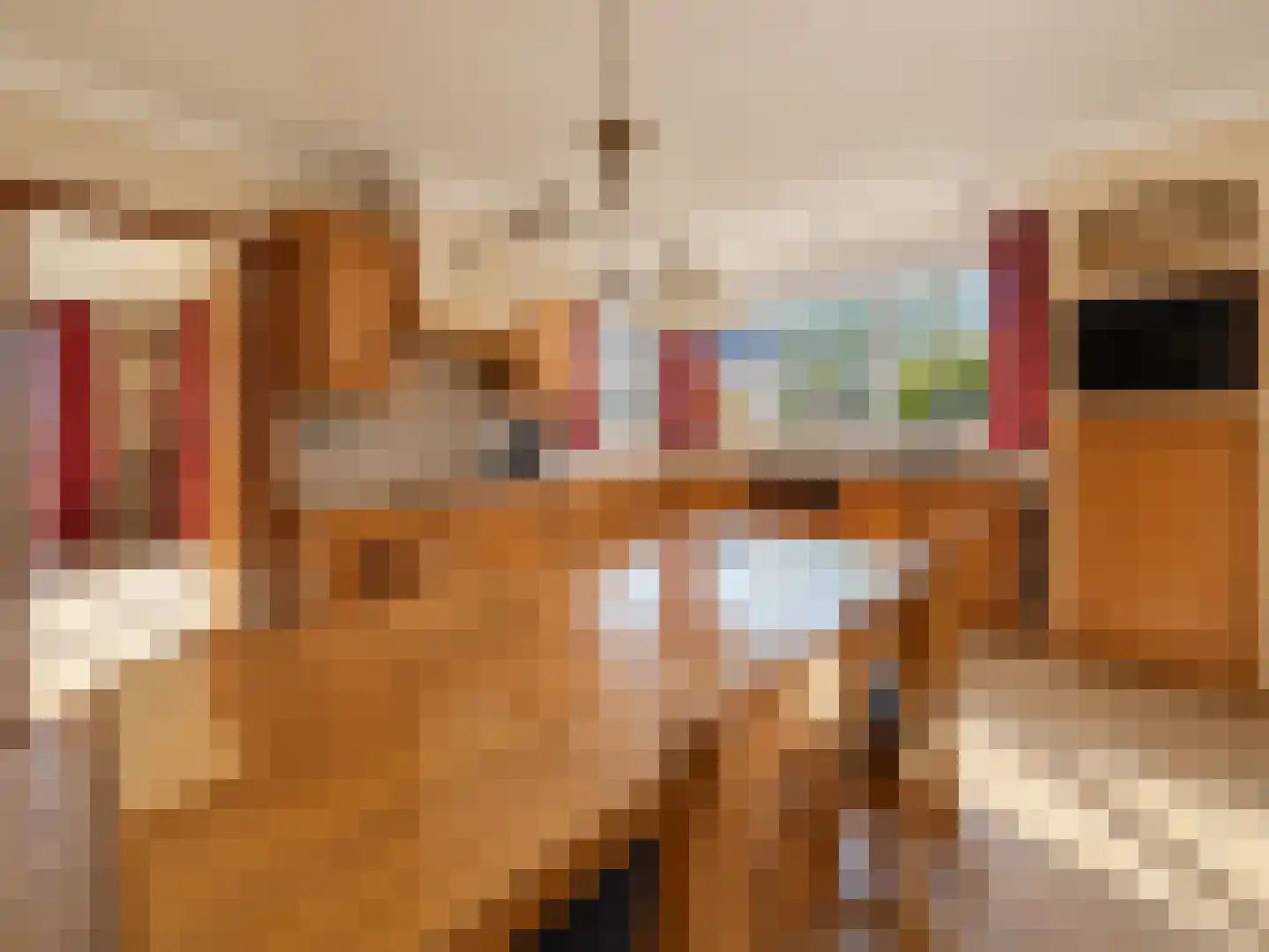 Poppestraat 127 St. Willebrord thumbnail 13