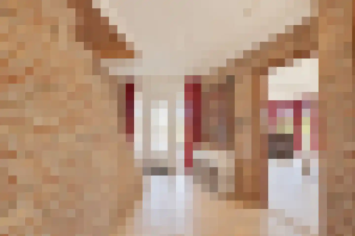 Poppestraat 127 St. Willebrord thumbnail 16