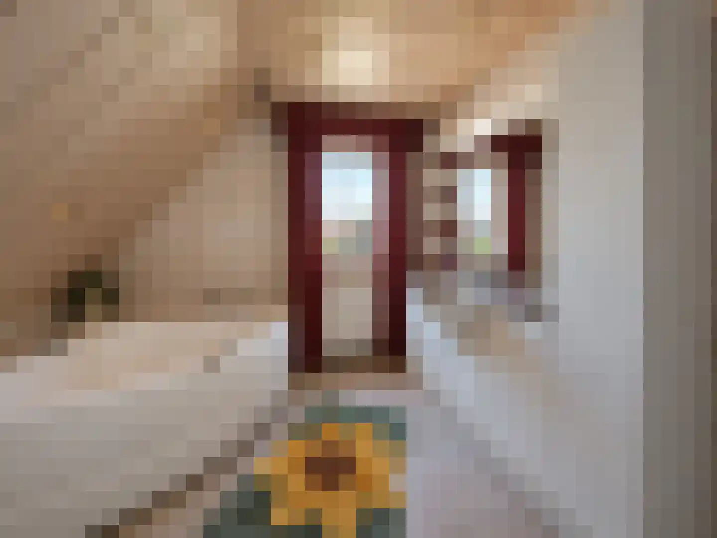Poppestraat 127 St. Willebrord thumbnail 21