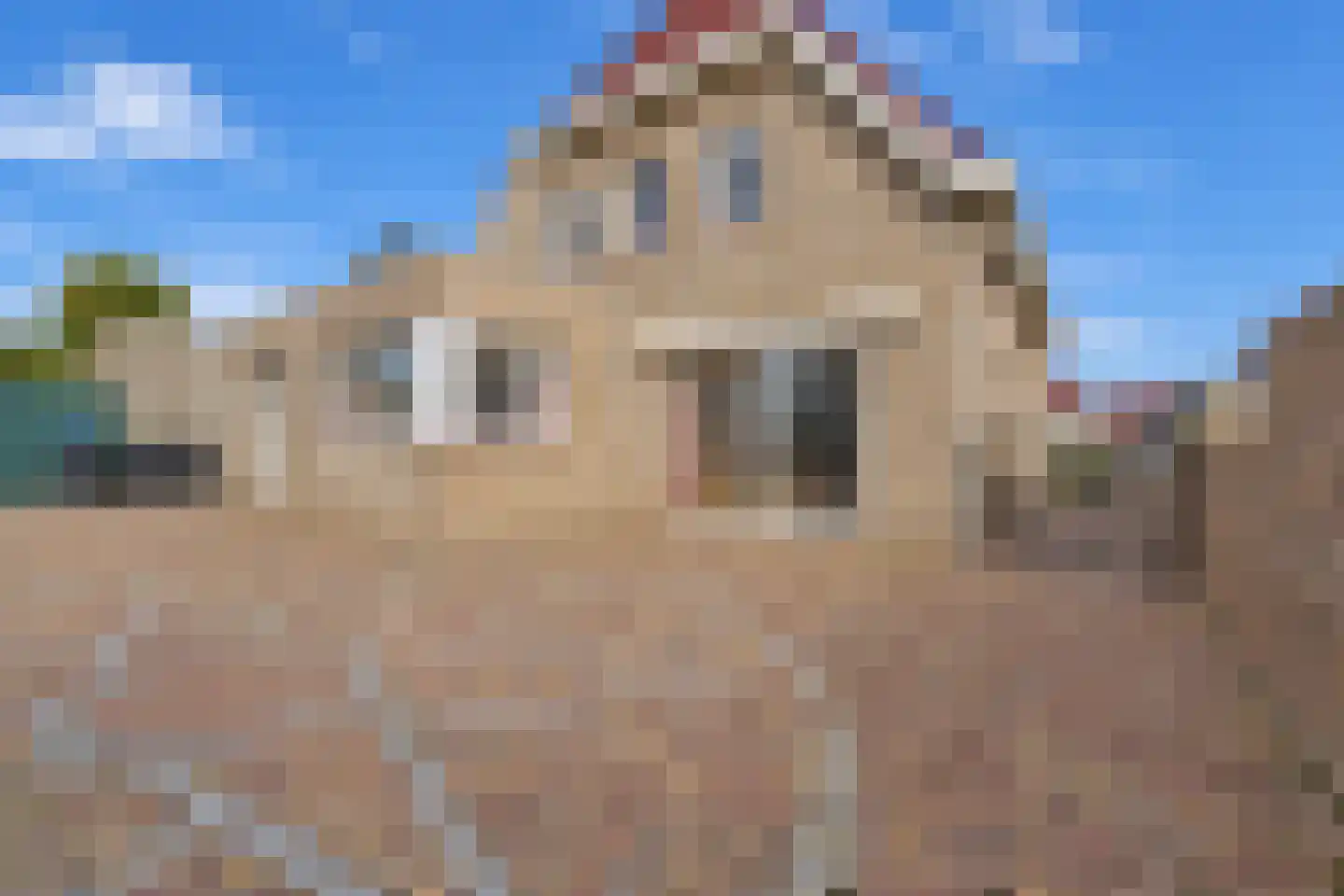 Poppestraat 127 St. Willebrord thumbnail 25