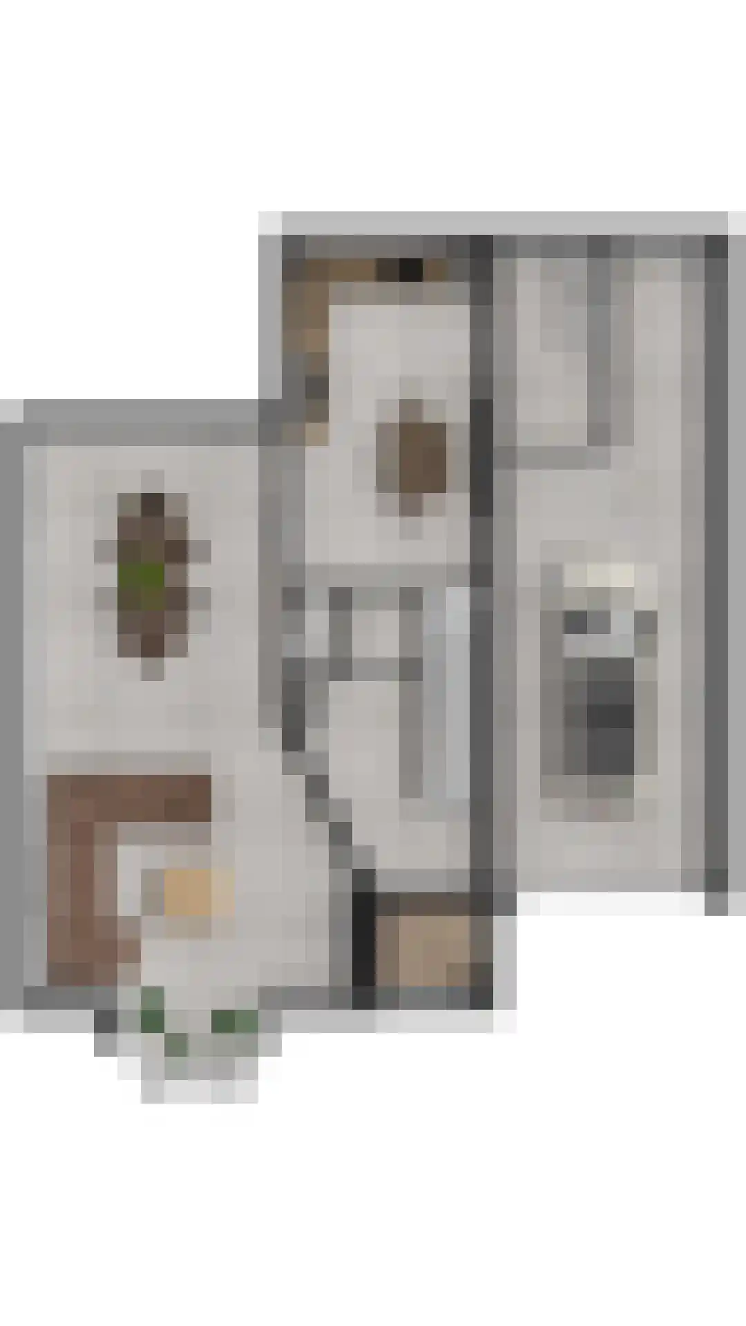Poppestraat 127 St. Willebrord thumbnail 33