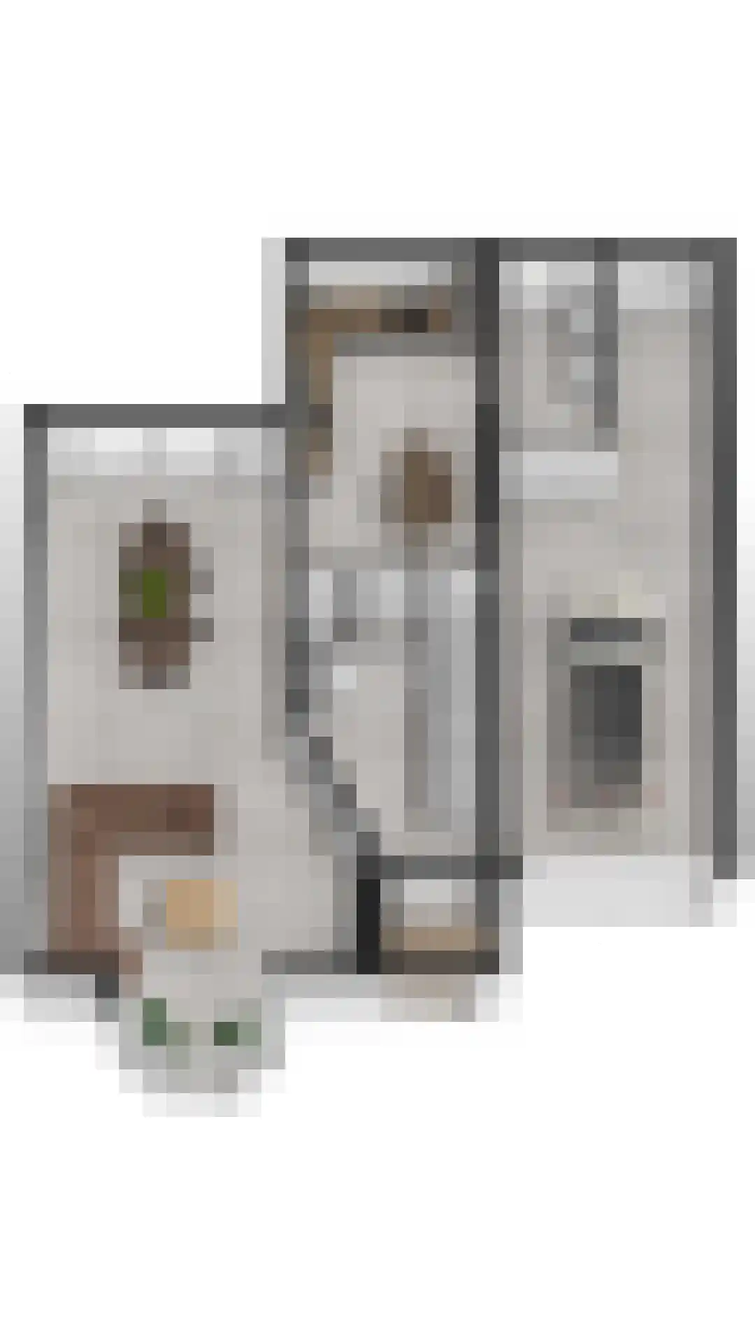 Poppestraat 127 St. Willebrord thumbnail 36