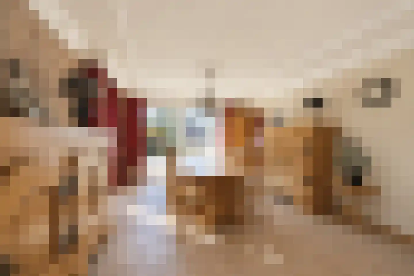 Poppestraat 127 St. Willebrord thumbnail 7