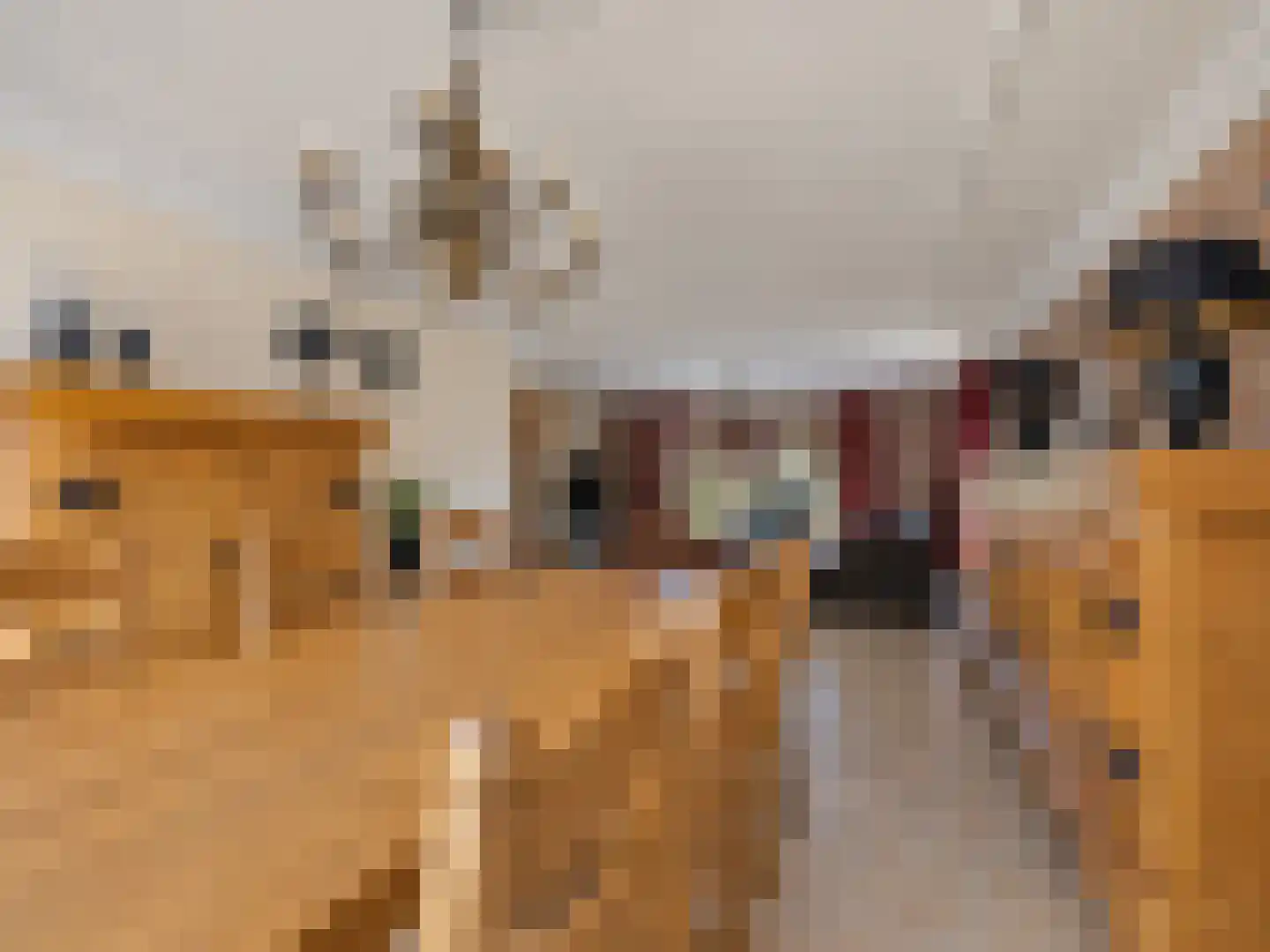Poppestraat 127 St. Willebrord thumbnail 9