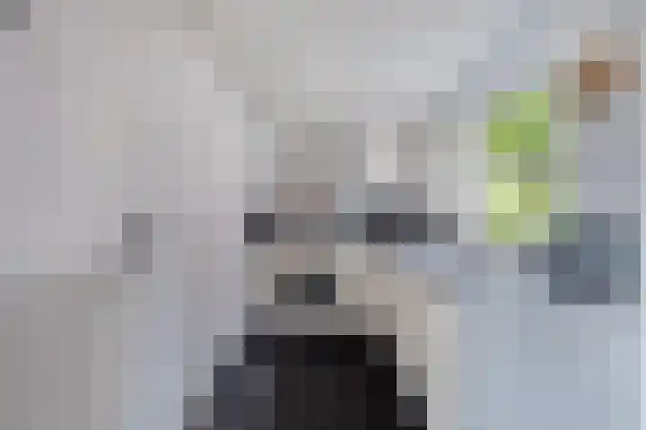 Poppestraat 56 St. Willebrord thumbnail 11
