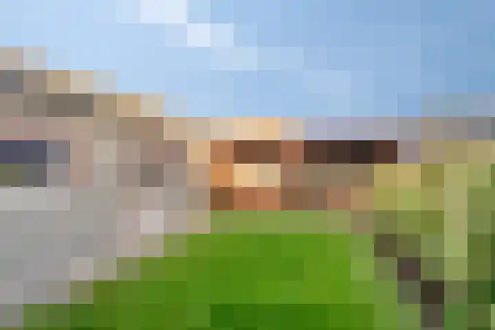 Poppestraat 56 St. Willebrord thumbnail 21