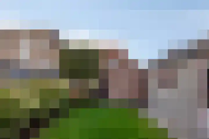 Poppestraat 56 St. Willebrord thumbnail 22