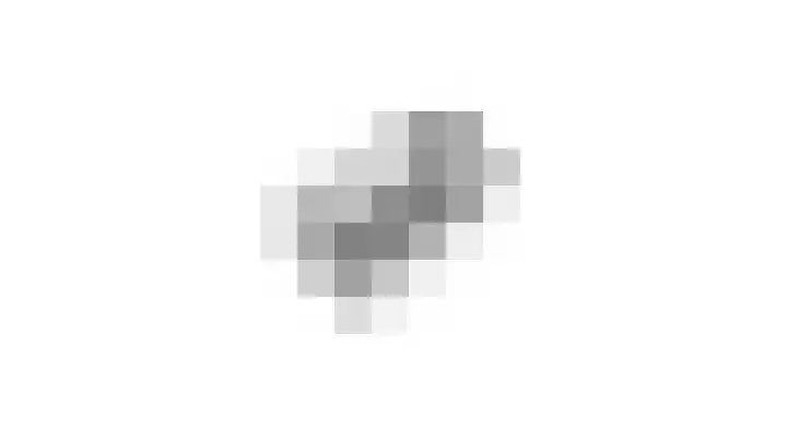 Poppestraat 57 A St. Willebrord thumbnail 36