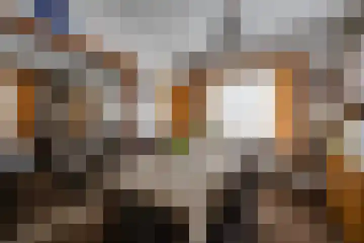 Poppestraat 57 A St. Willebrord thumbnail 8