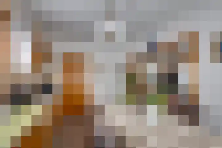 Poppestraat 57 A St. Willebrord thumbnail 9