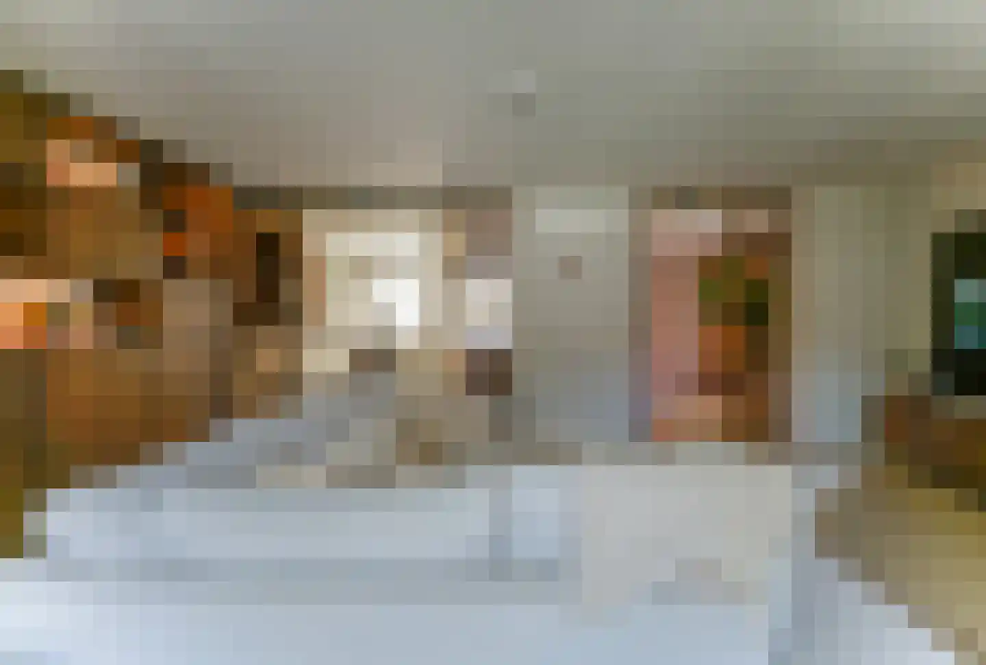 Poppestraat 76 St. Willebrord thumbnail 10