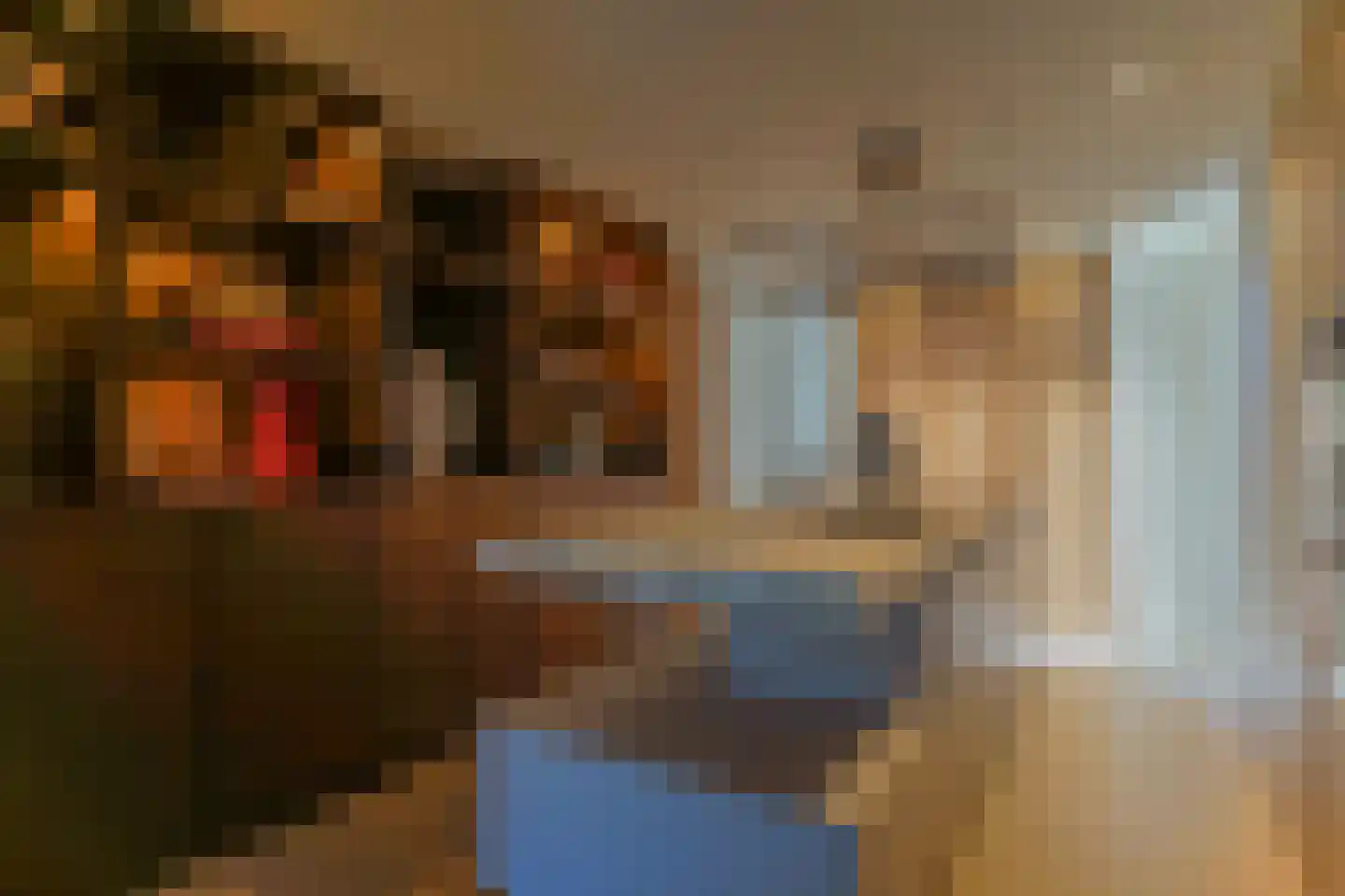 Poppestraat 76 St. Willebrord thumbnail 11