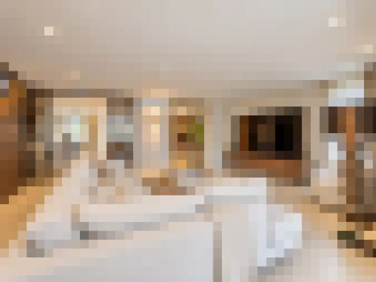 Poppestraat 76 St. Willebrord thumbnail 12