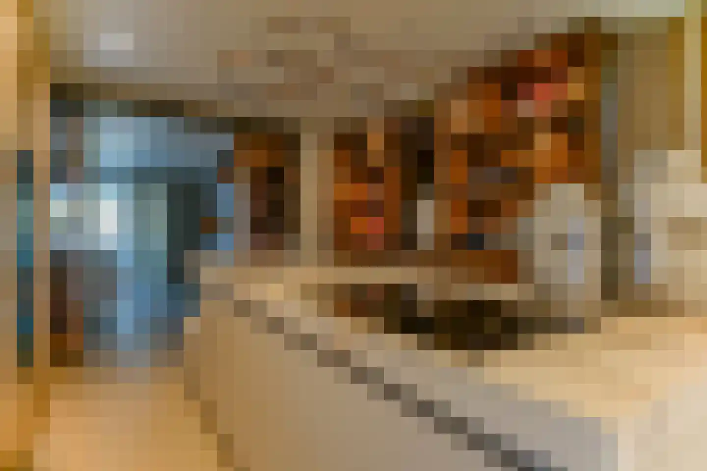 Poppestraat 76 St. Willebrord thumbnail 13