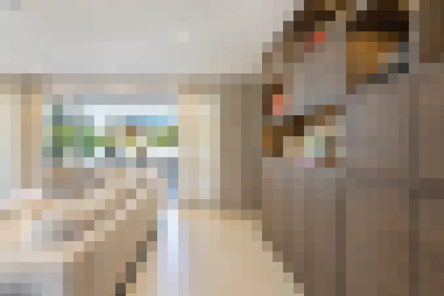 Poppestraat 76 St. Willebrord thumbnail 13