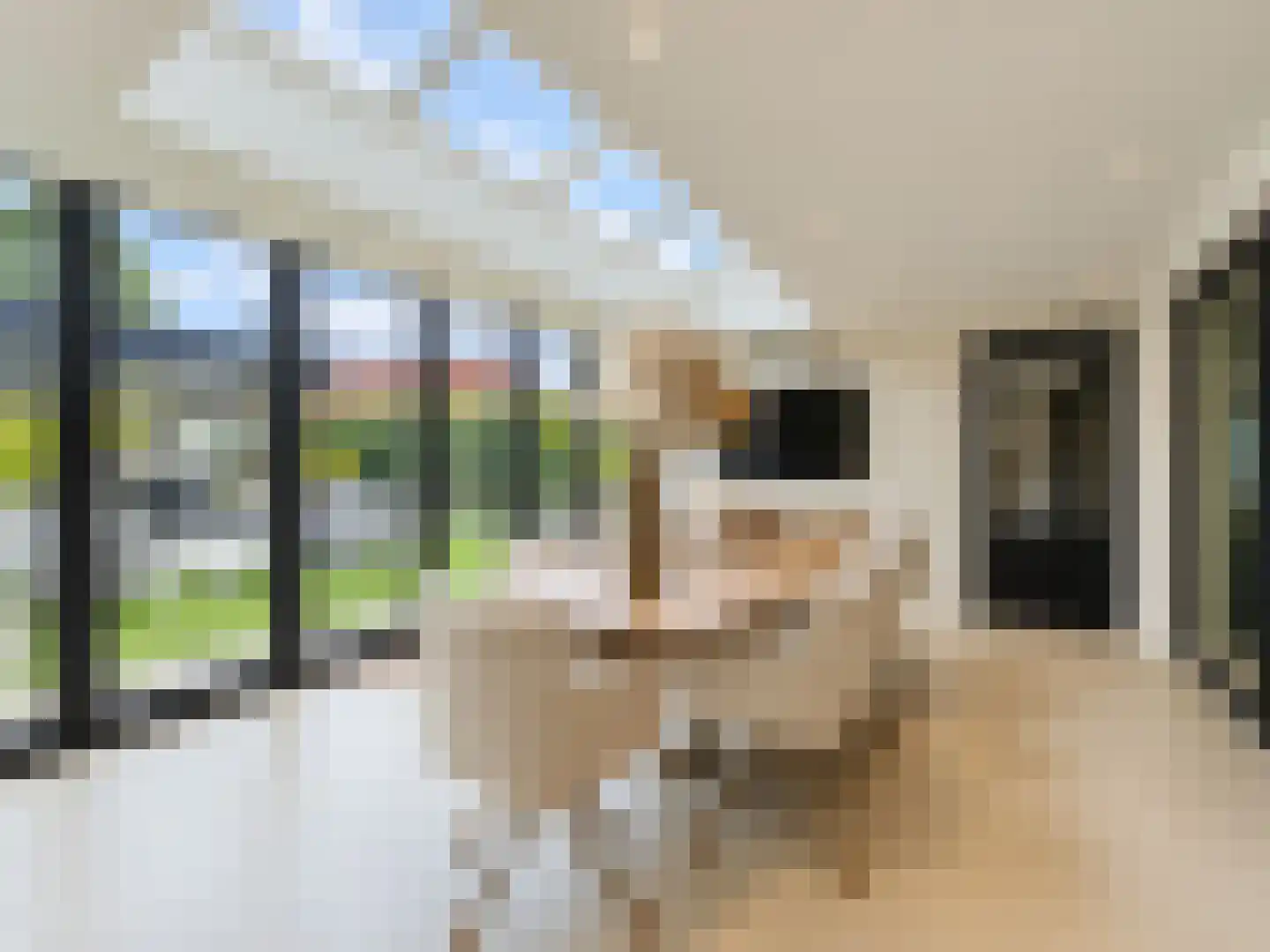 Poppestraat 76 St. Willebrord thumbnail 14