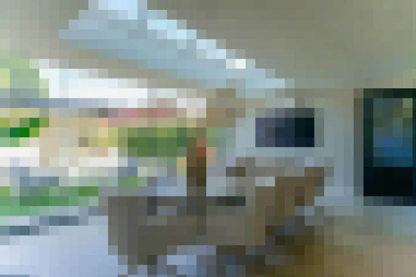 Poppestraat 76 St. Willebrord thumbnail 18