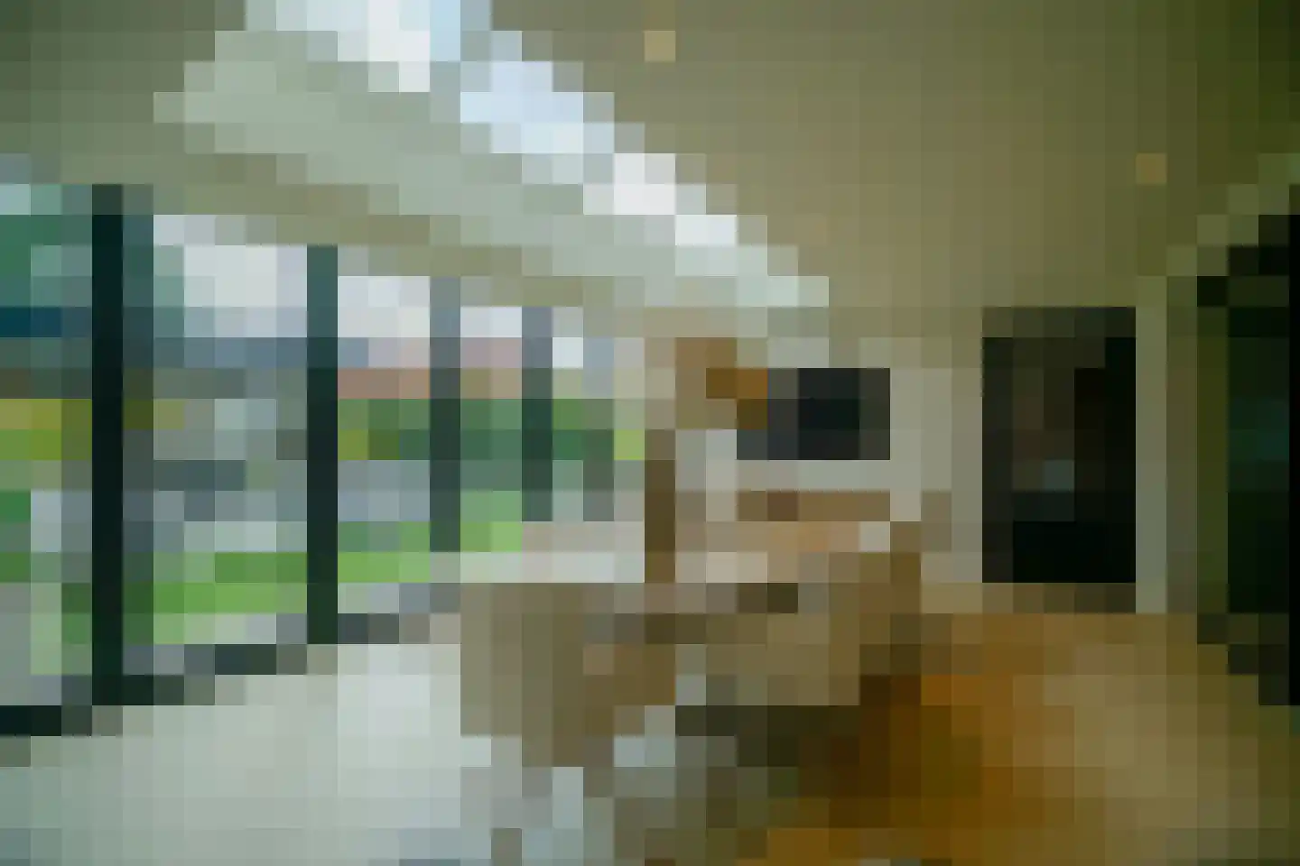 Poppestraat 76 St. Willebrord thumbnail 20