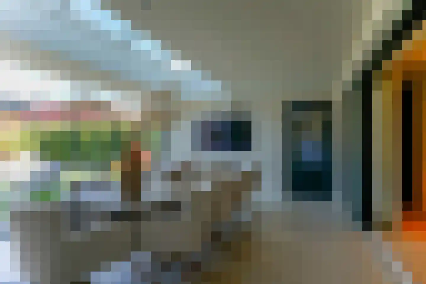 Poppestraat 76 St. Willebrord thumbnail 20