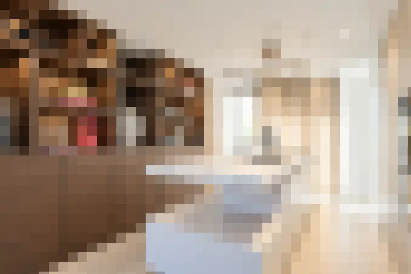 Poppestraat 76 St. Willebrord thumbnail 22
