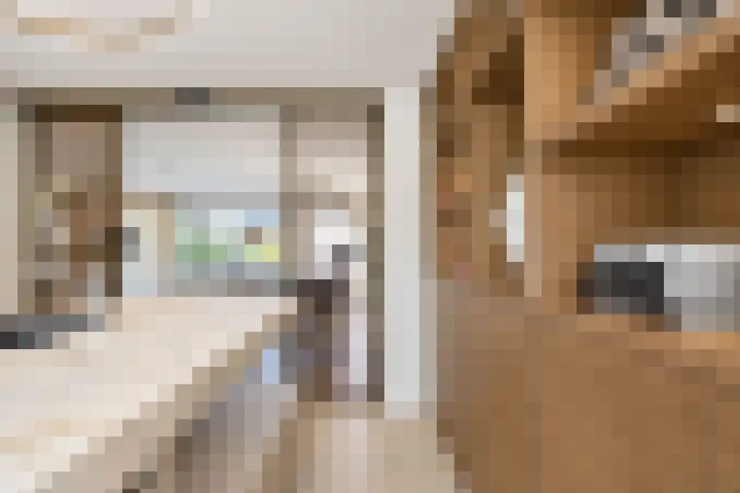 Poppestraat 76 St. Willebrord thumbnail 23
