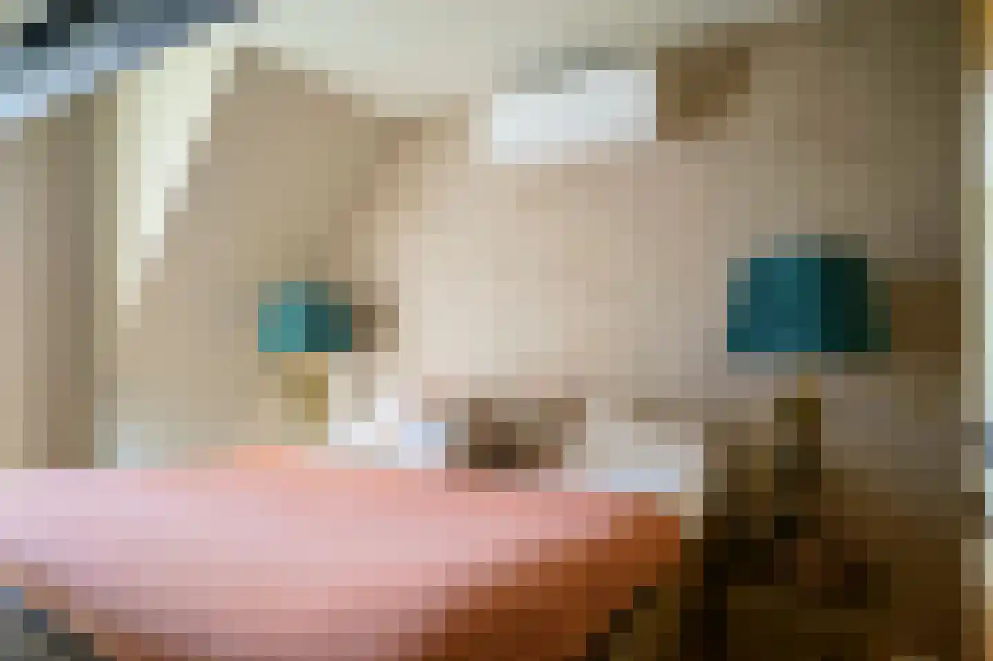 Poppestraat 76 St. Willebrord thumbnail 32