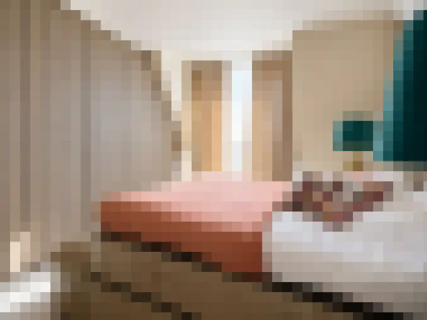 Poppestraat 76 St. Willebrord thumbnail 34