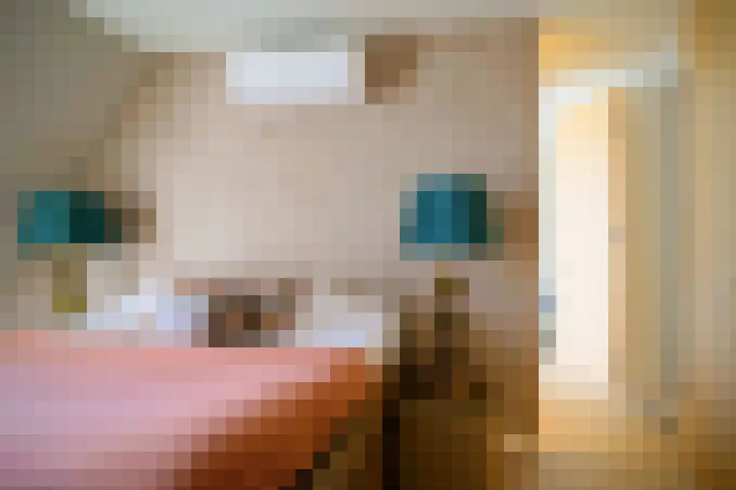 Poppestraat 76 St. Willebrord thumbnail 35