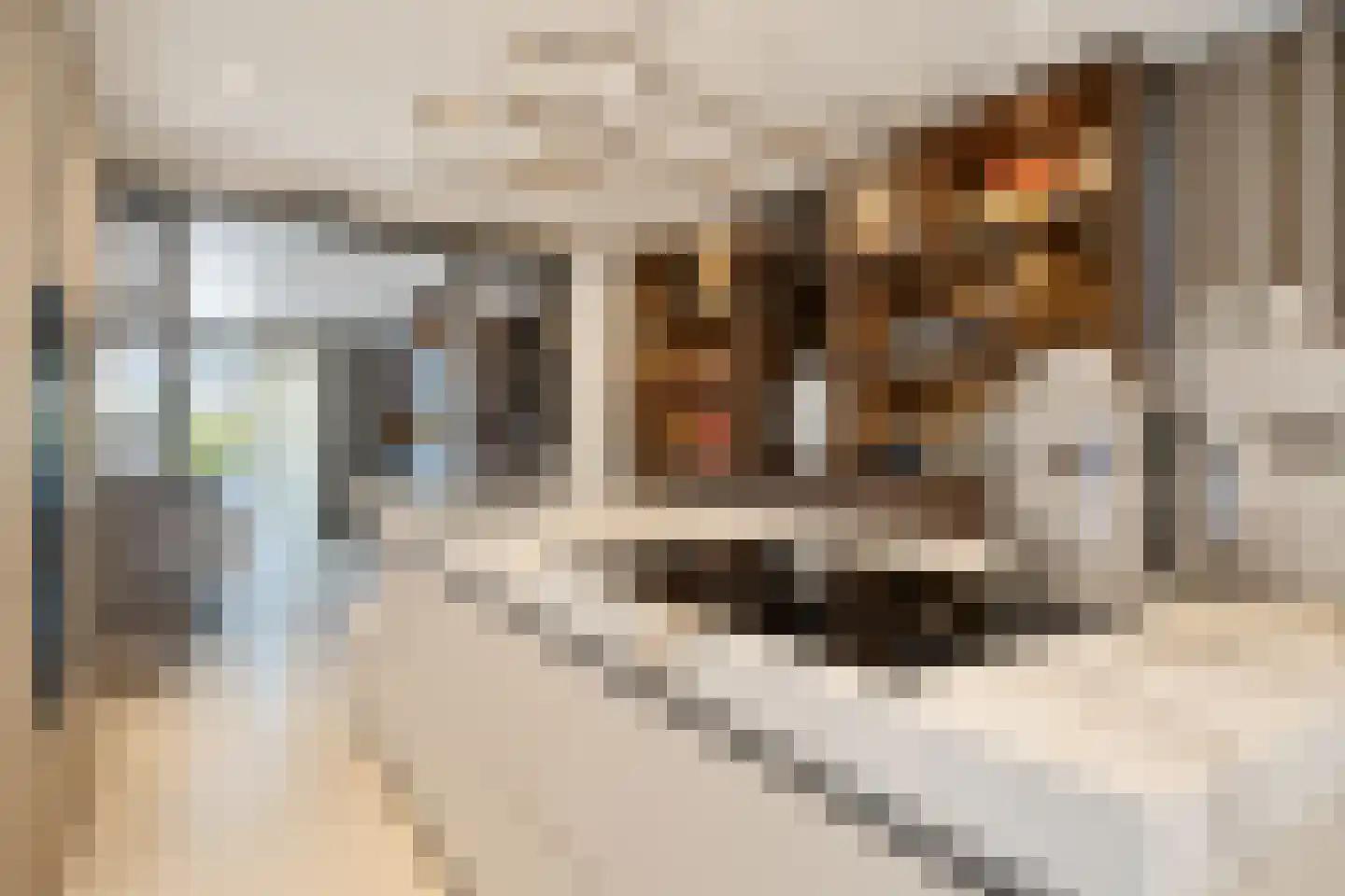 Poppestraat 76 St. Willebrord thumbnail 4