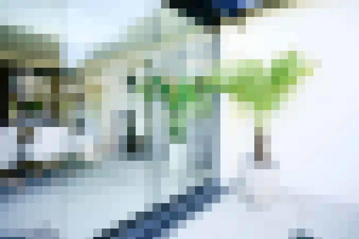 Poppestraat 76 St. Willebrord thumbnail 44