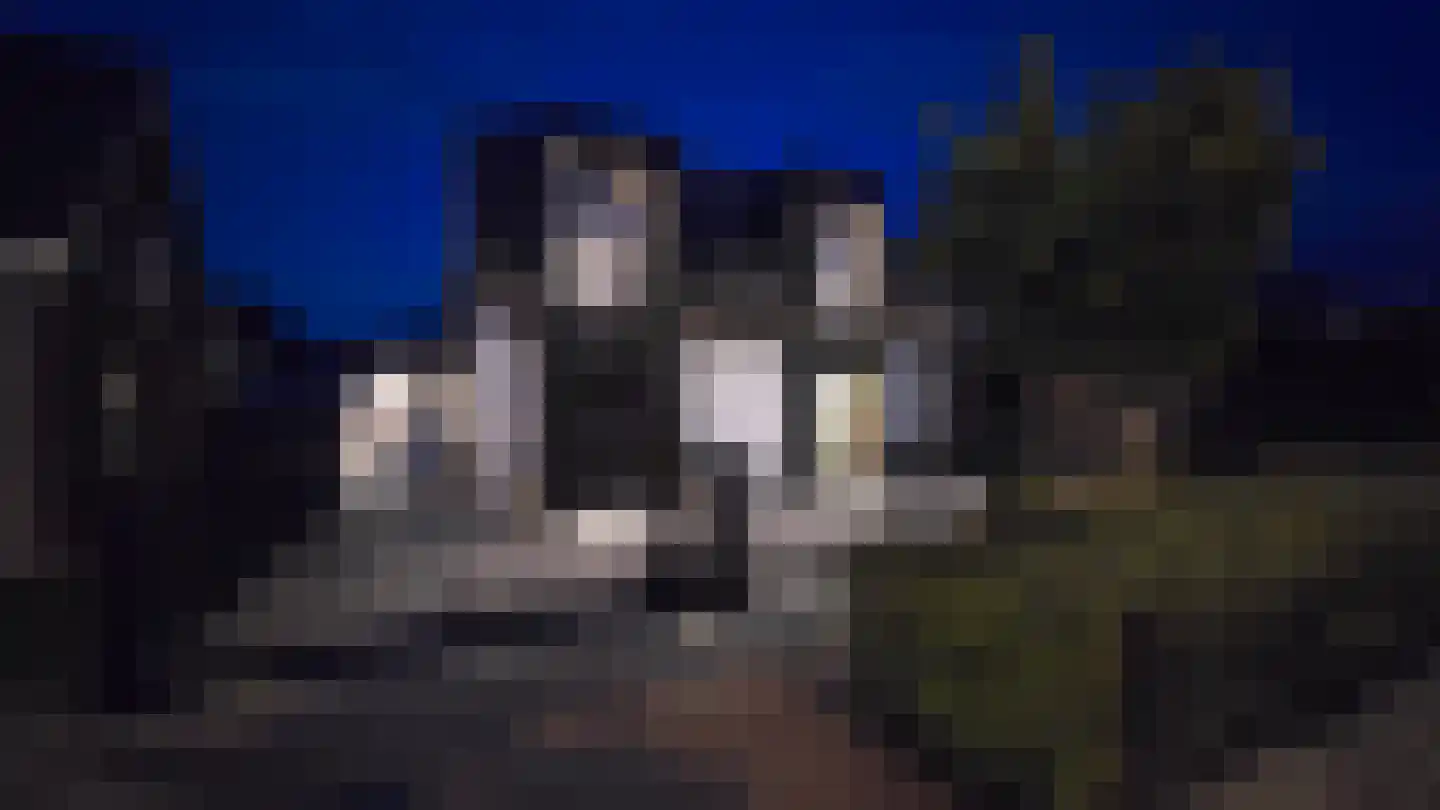 Poppestraat 76 St. Willebrord thumbnail 50