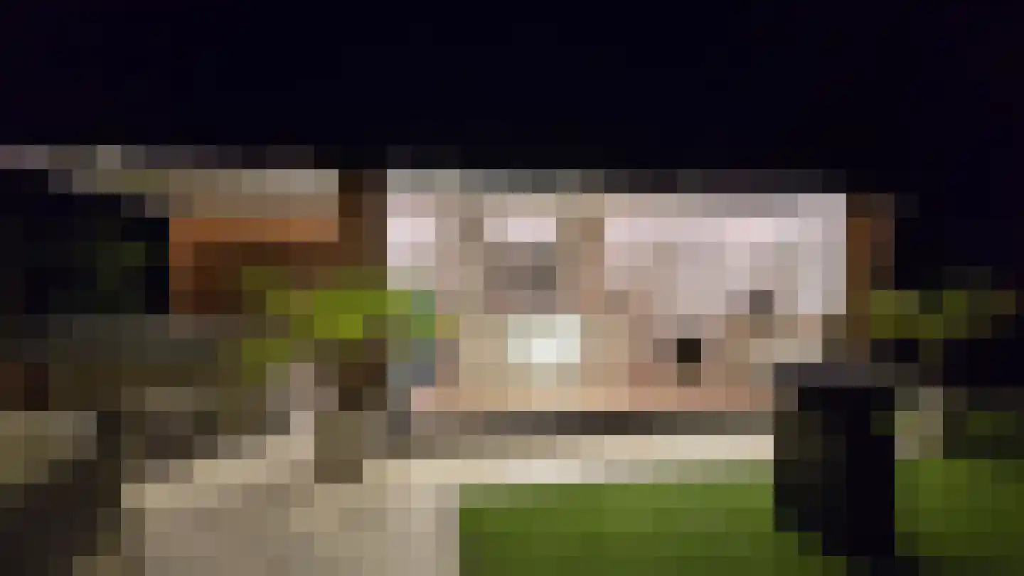 Poppestraat 76 St. Willebrord thumbnail 52
