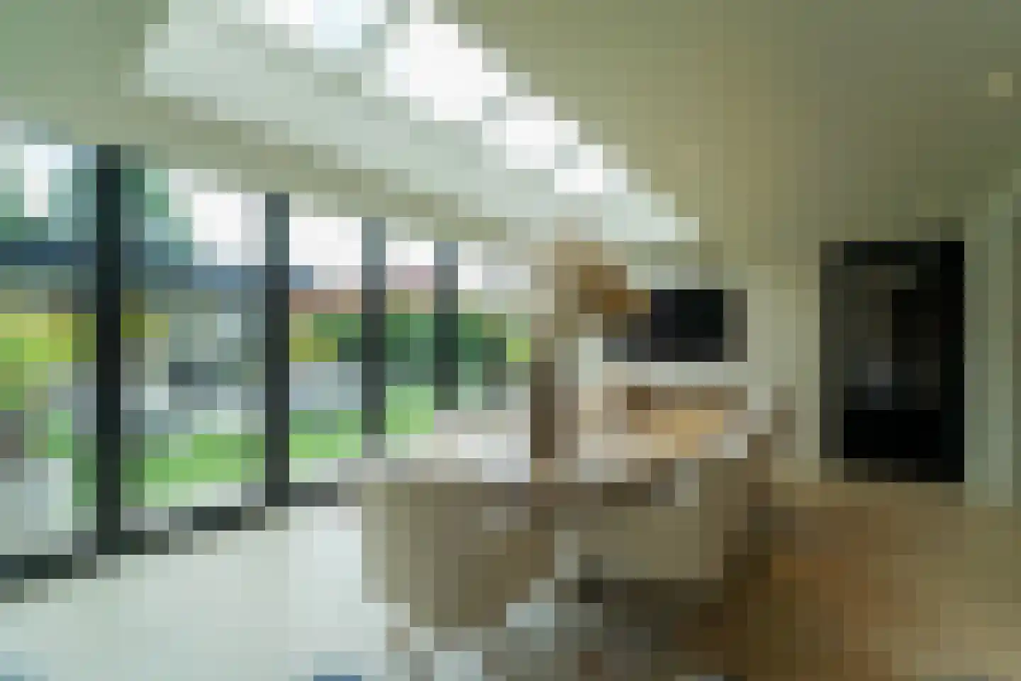 Poppestraat 76 St. Willebrord thumbnail 65