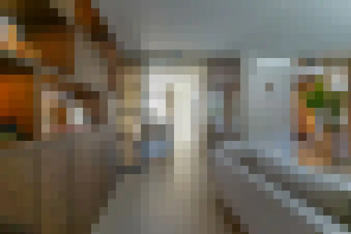 Poppestraat 76 St. Willebrord thumbnail 7