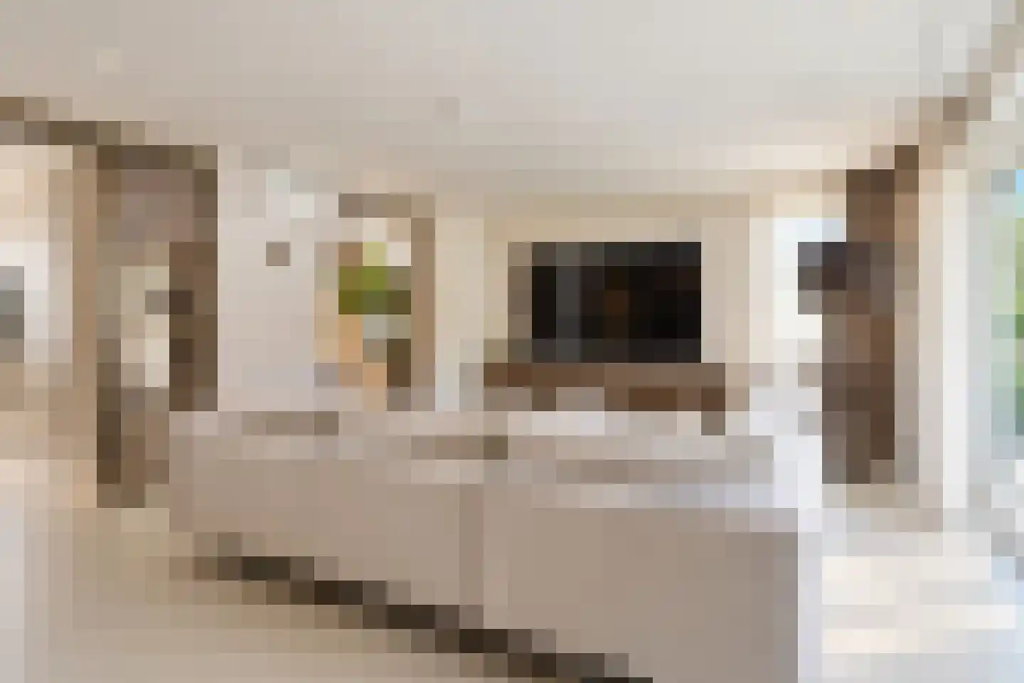 Poppestraat 76 St. Willebrord thumbnail 9