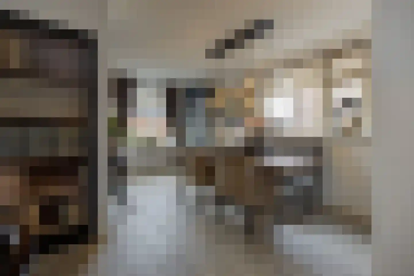 Poppestraat 80 St. Willebrord thumbnail 10