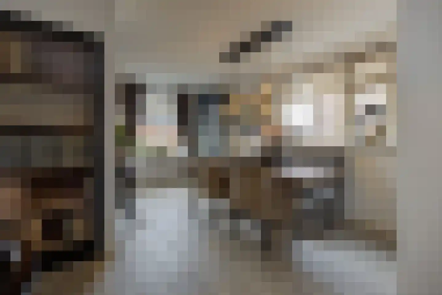 Poppestraat 80 St. Willebrord thumbnail 10